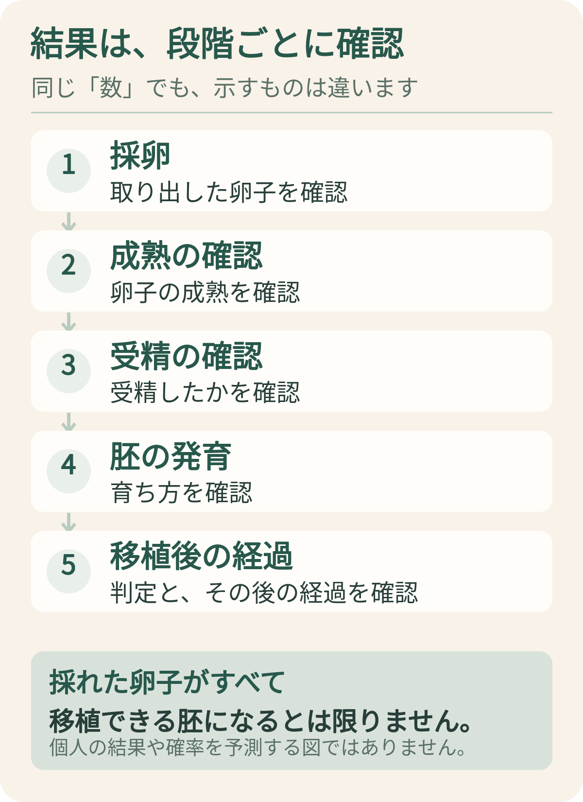 採卵、成熟、受精、胚の発育、移植後の経過を分けて確認する図
