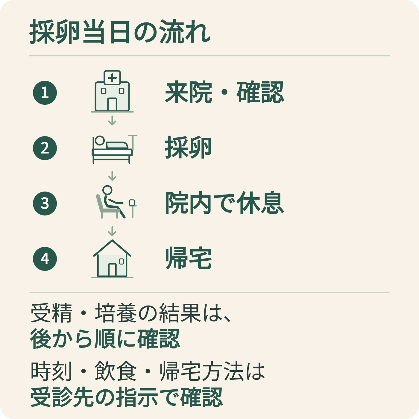 採卵当日の来院・確認、採卵、休息、帰宅までの流れを示す図。